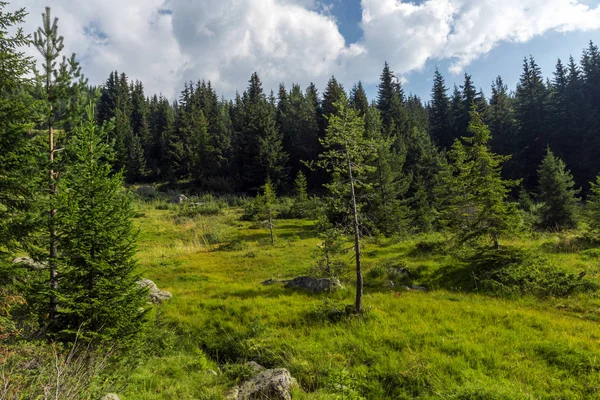 Fantastiska Landskap Begovitsa River Valley Berget Pirin Bulgarien — Stockfoto