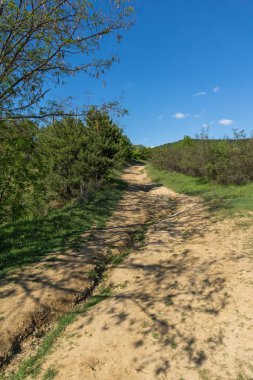 Kaya oluşumu Stob Piramitler, Rila Dağı, Köstendil bölge, Bulgaristan manzara