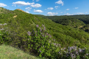 Kaya oluşumu Stob Piramitler, Rila Dağı, Köstendil bölge, Bulgaristan manzara