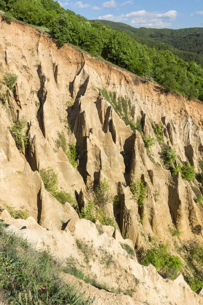 Táj Rock Formáció Stob Piramisok Rila Hegység Régióban Kyustendil Bulgária — Stock Fotó