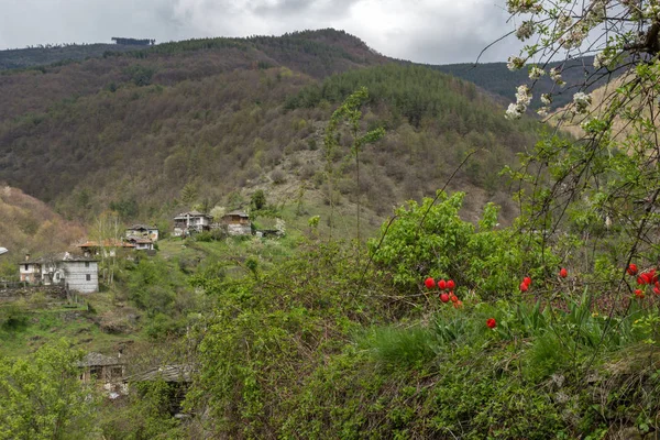 コソボ村本物と 世紀の家 プロブディフ ブルガリア — ストック写真