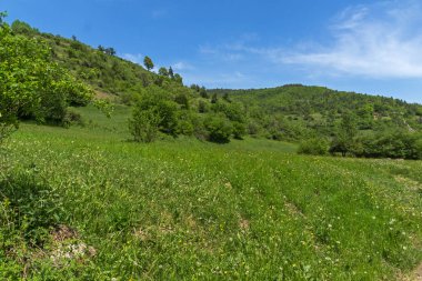 Green Hills bahar manzara yakınındaki köy Fotinovo Rodop dağ, Pazarcık bölge, Bulgaristan