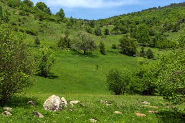 Green Hills bahar manzara yakınındaki köy Fotinovo Rodop dağ, Pazarcık bölge, Bulgaristan