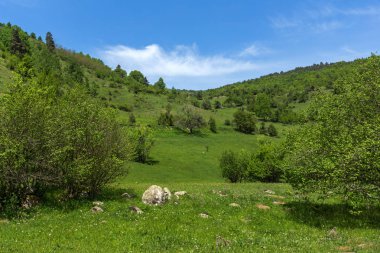 Green Hills bahar manzara yakınındaki köy Fotinovo Rodop dağ, Pazarcık bölge, Bulgaristan
