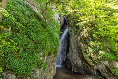 Peyzaj Fotinovo şelaleler cascade (Fotinski şelale) Rodop dağ, Pazarcık bölge, Bulgaristan