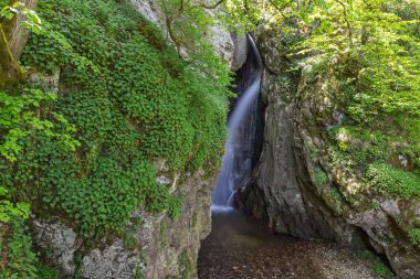 Peyzaj Fotinovo şelaleler cascade (Fotinski şelale) Rodop dağ, Pazarcık bölge, Bulgaristan