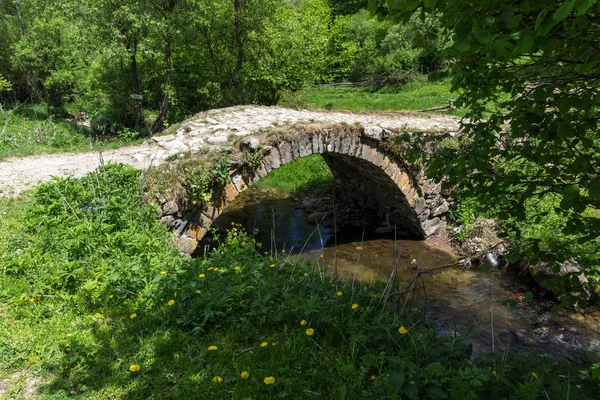 Puente Piedra Sobre Río Fotinovo Cerca Del Pueblo Fotinovo Montaña —  Fotos de Stock