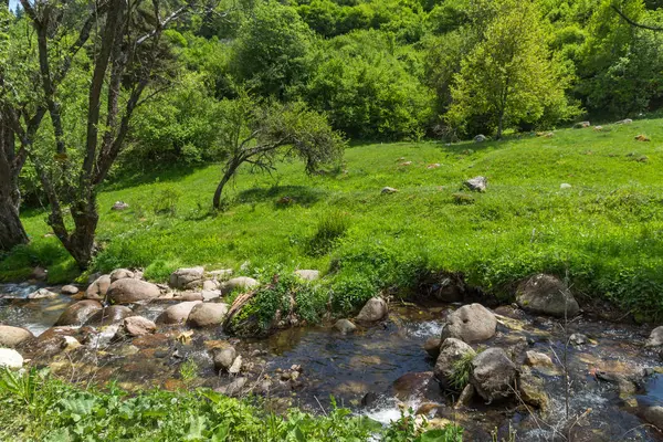 Landscape Fotinovo River Village Fotinovo Rhodopes Mountain Pazardzhik Region Bulgaria — Stock Photo, Image