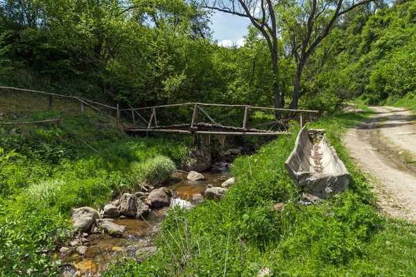 ロドピ山地山 パザルジク州地域 ブルガリアの Fotinovo の村の近く Fotinovo 川に架かる木製の橋 — ストック写真