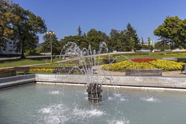 Belgrad 'ın merkezindeki Park' ta çiçekler