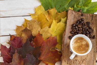 Farklı renkte sonbahar izninde kahve ve kahve taneleri.