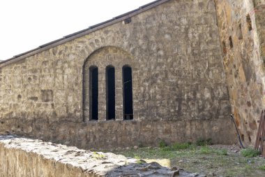 Sırbistan 'ın Tuna Nehri kıyısındaki Smederevo Kalesi