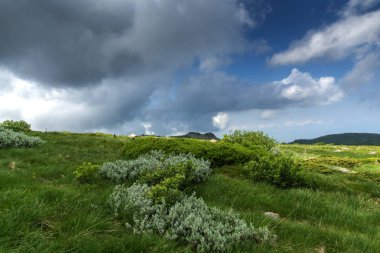 Bulgaristan 'ın Vitosha Dağı' nın İnanılmaz Yaz manzarası