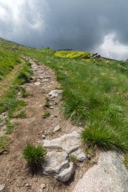 Bulgaristan 'ın Vitosha Dağı' nın İnanılmaz Yaz manzarası