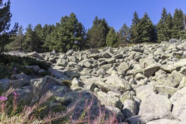 Bulgaristan 'ın Vitosha Dağı' nda Moraine ile manzara