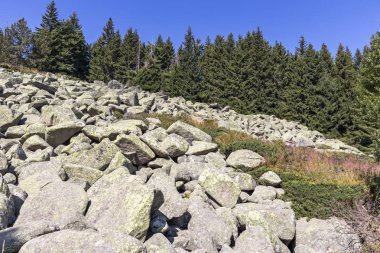Bulgaristan 'ın Vitosha Dağı' nda Moraine ile manzara