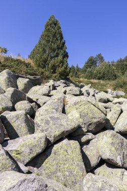 Bulgaristan 'ın Vitosha Dağı' nda Moraine ile manzara