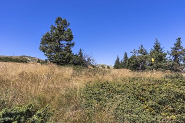 Bulgaristan 'ın Vitosha Dağı' nın sonbahar manzarası
