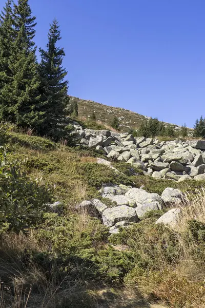 Пейзаж с Моране на горе Витоша, Болгария — стоковое фото