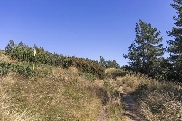 Podzimní krajina hory Vitosha, Bulharsko — Stock fotografie