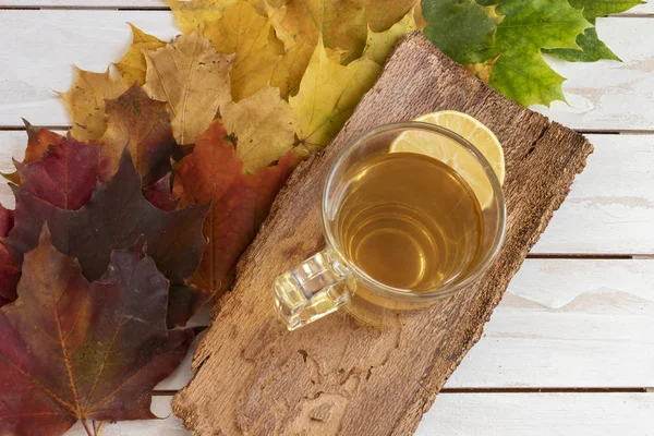 Tasse de thé sur différentes feuilles d'automne de couleur Images De Stock Libres De Droits