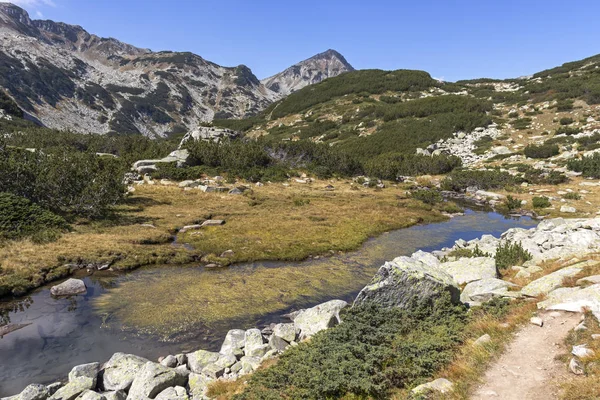 Amazing Landscape Dengan Gunung Sungai Dan Muratov Peak Pirin Mountain — Stok Foto