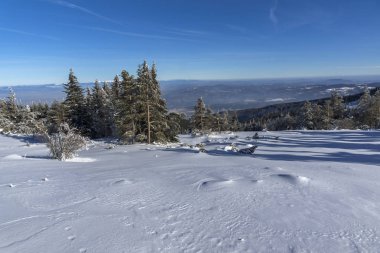 Karla kaplı Vitosha Dağı 'nın kış manzarası.