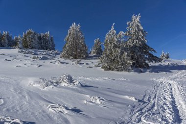 Karla kaplı Vitosha Dağı 'nın kış manzarası.
