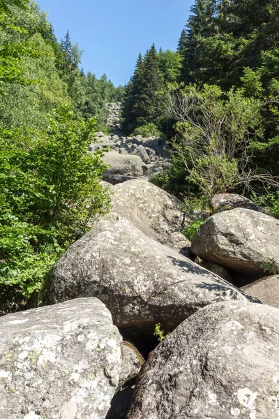 Kamienna rzeka znana jako Zlatnite Mostove na górze Vitosha, Bulga — Zdjęcie stockowe