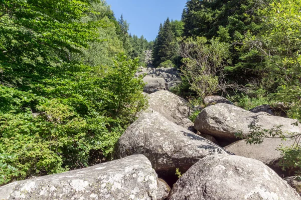Stone river known as Zlatnite Mosomener at Vitosha Mountain, Bulga — Φωτογραφία Αρχείου