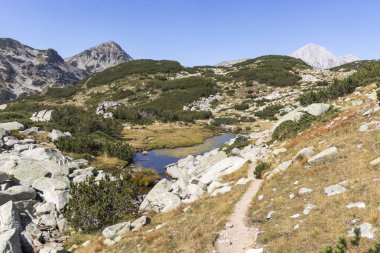 Dağ nehri, Pirin Dağı, Bulgaristan manzarası