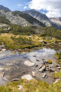 Dağ nehri, Pirin Dağı, Bulgaristan manzarası