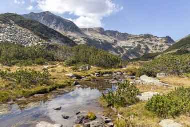 Dağ nehri, Pirin Dağı, Bulgaristan manzarası