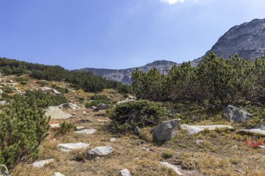 Bulgaristan 'ın Pirin Dağı manzarası