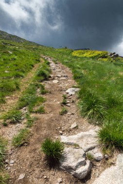 Cherni Vrah yakınlarındaki yaz manzarası Vitosha Dağı 'nda, Bul
