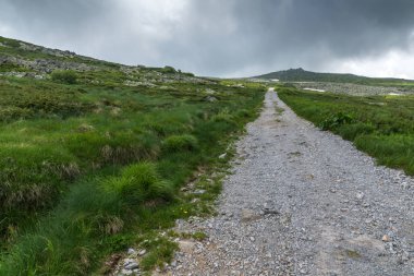 Cherni Vrah yakınlarındaki yaz manzarası Vitosha Dağı 'nda, Bul