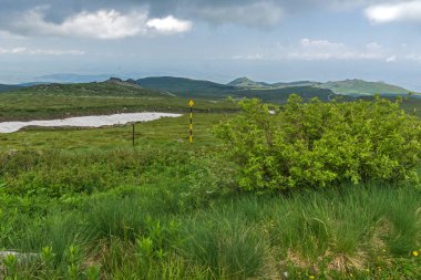 Cherni Vrah yakınlarındaki yaz manzarası Vitosha Dağı 'nda, Bul