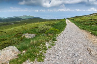 Cherni Vrah yakınlarındaki yaz manzarası Vitosha Dağı 'nda, Bul