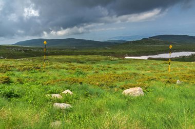 Cherni Vrah yakınlarındaki yaz manzarası Vitosha Dağı 'nda, Bul