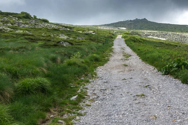 Nyári táj közelében Cherni Vrah csúcs Vitosha Mountain, Bul — Stock Fotó