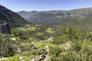 Bulgaristan 'ın Balık Gölleri çevresindeki Rila Dağı Panoraması