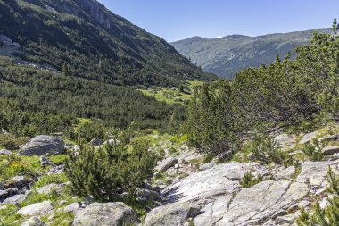 Bulgaristan 'ın Balık Gölleri çevresindeki Rila Dağı Panoraması