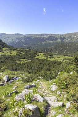 Bulgaristan 'ın Balık Gölleri çevresindeki Rila Dağı Panoraması