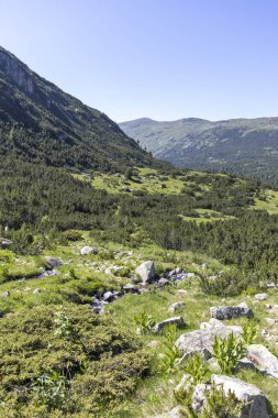 Bulgaristan 'ın Balık Gölleri çevresindeki Rila Dağı Panoraması