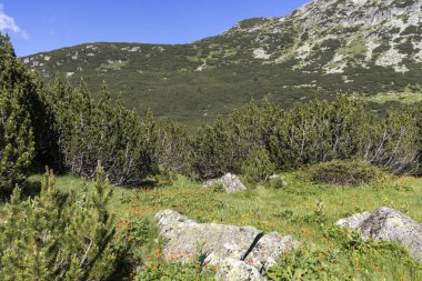 Bulgaristan 'ın Balık Gölleri çevresindeki Rila Dağı Panoraması