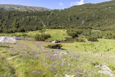 Bulgaristan 'ın Balık Gölleri çevresindeki Rila Dağı Panoraması