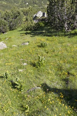 Bulgaristan 'ın Balık Gölleri çevresindeki Rila Dağı Panoraması