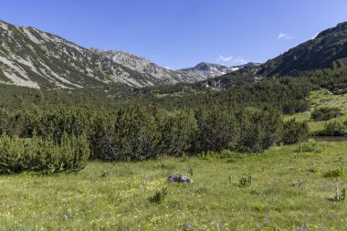 Bulgaristan 'ın Balık Gölleri çevresindeki Rila Dağı Panoraması