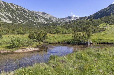 The Fish Lakes yakınlarındaki Dağ Nehri, Rila dağı, Bulgaristan