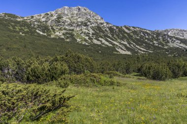 Bulgaristan 'ın Balık Gölleri çevresindeki Rila Dağı Panoraması